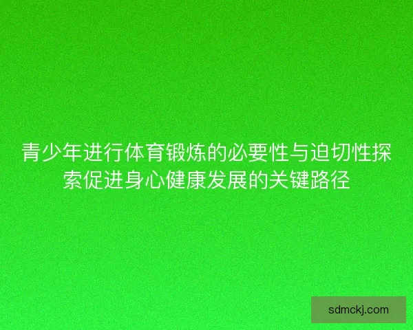 青少年进行体育锻炼的必要性与迫切性探索促进身心健康发展的关键路径 青少年进行体育锻炼的必要性与迫切性探索促进身心健康发展的关键路径