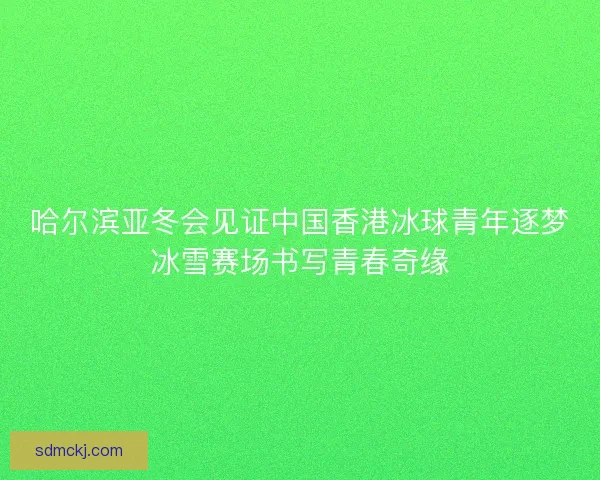 哈尔滨亚冬会见证中国香港冰球青年逐梦冰雪赛场书写青春奇缘